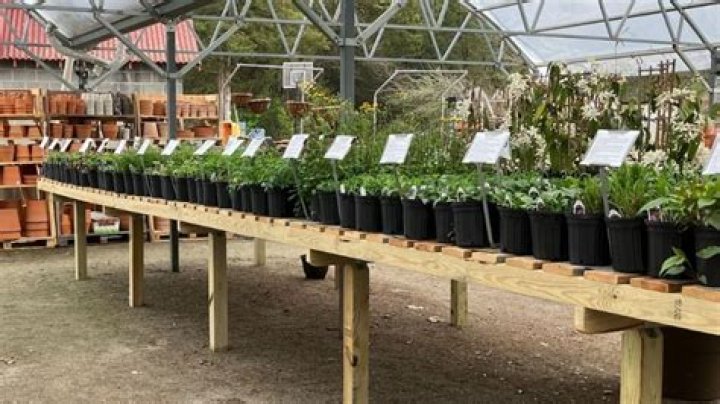 Discover Native Plants in Half Moon Bay! (Since 1960)