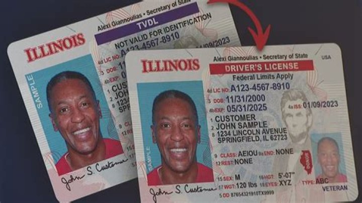 Illinois License Lookup: Find Professionals & Verify Credentials Now!