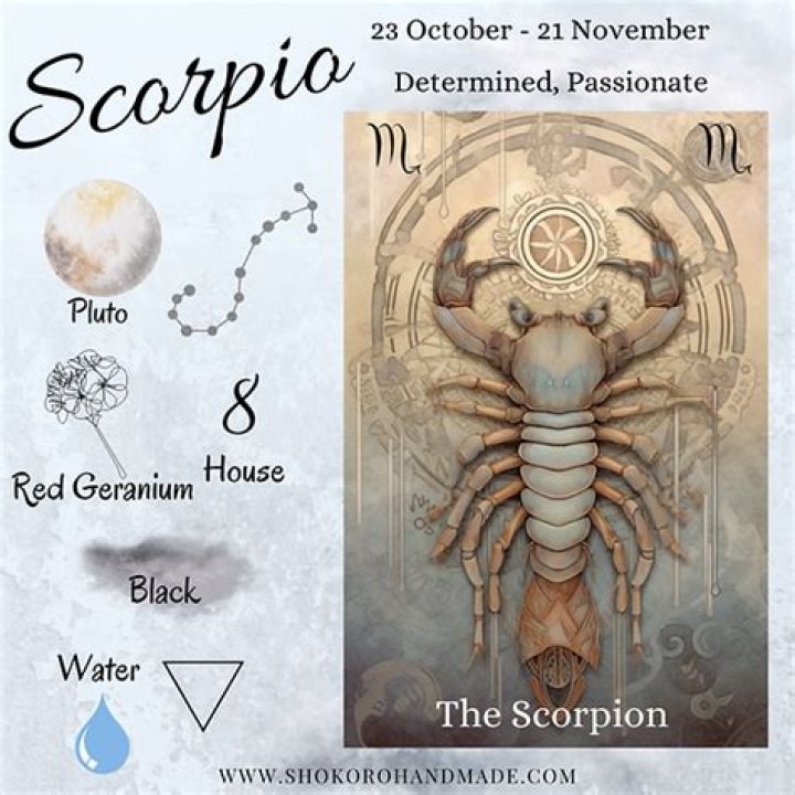 October 24 Zodiac: Scorpio Traits, Love, & More