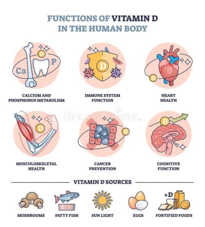 Vitamin D & Immune System: The Science Explained | Health